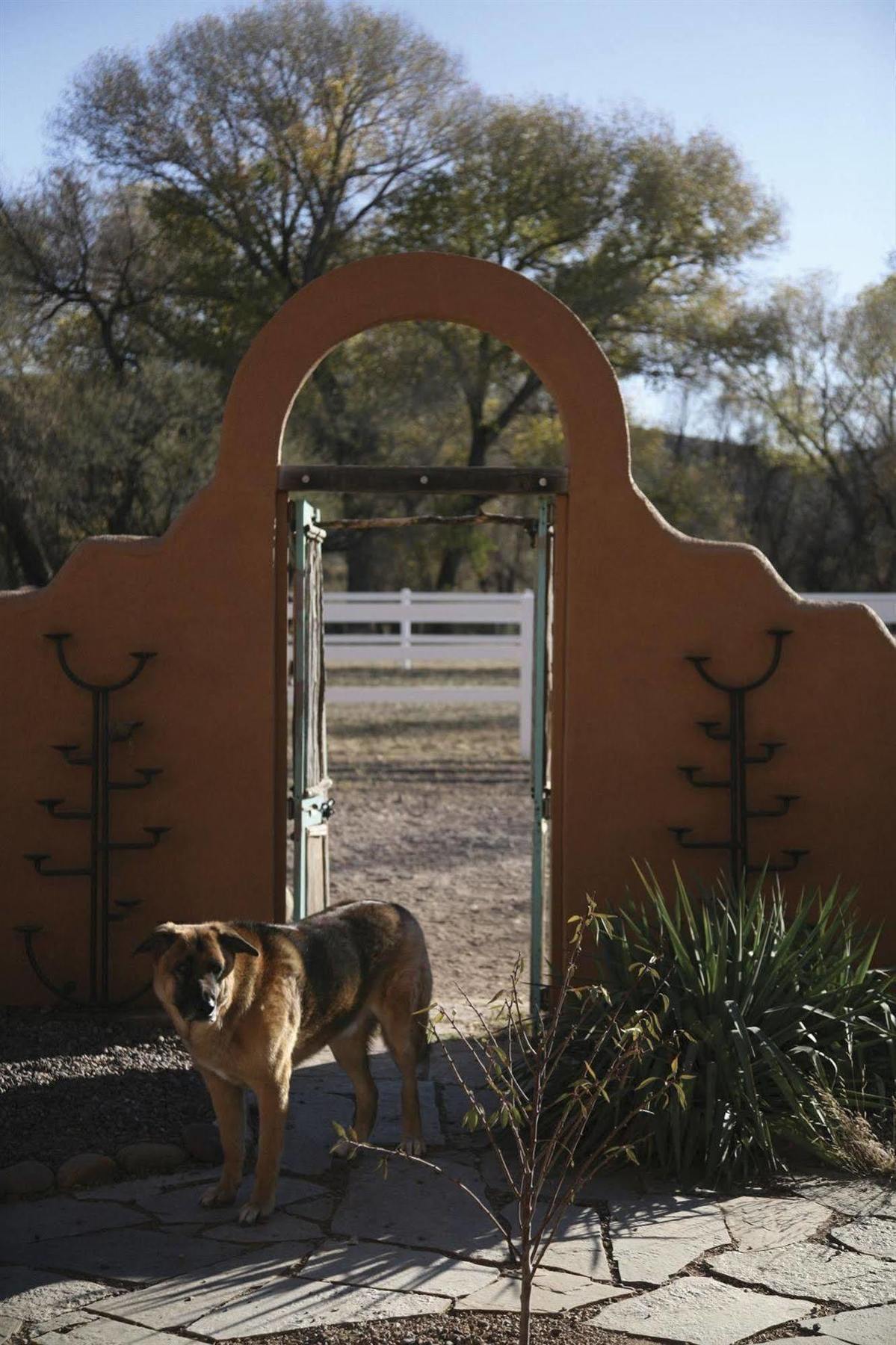 Lazy Dog Ranch Hotel Sierra Vista Exterior photo